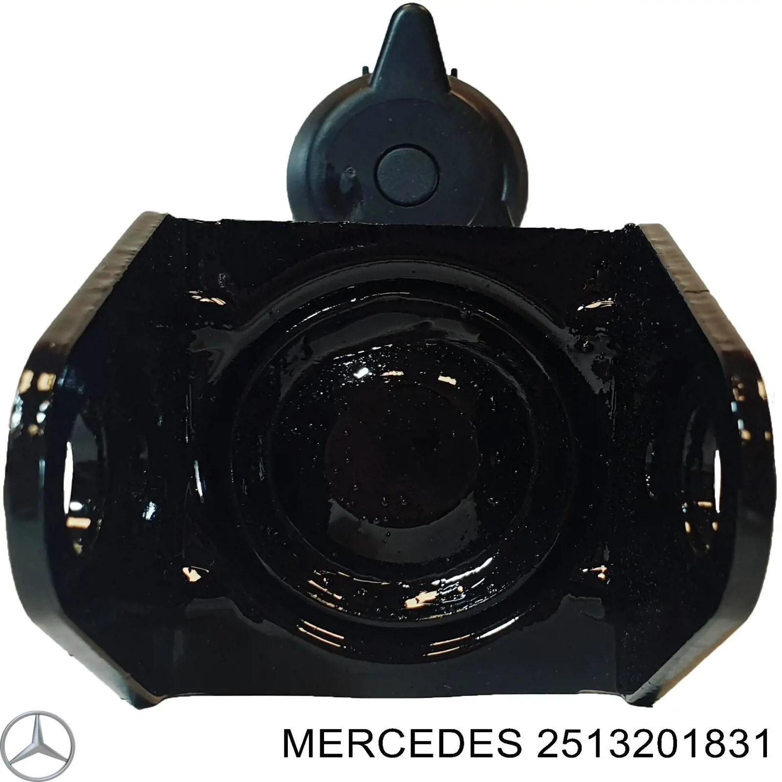 2513201831 Mercedes amortiguador trasero