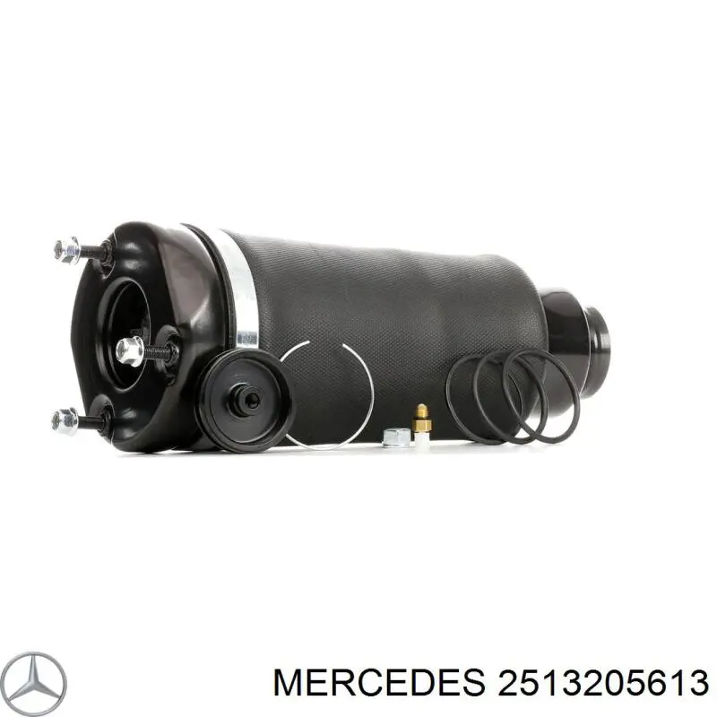 2513205613 Mercedes amortiguador delantero