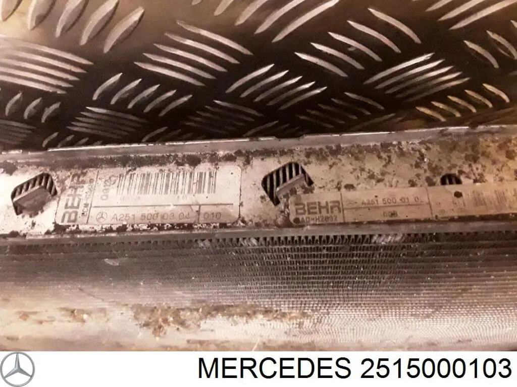 2515000103 Mercedes radiador