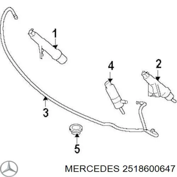 Boquilla lavafaros delantera derecha para Mercedes R (W251)