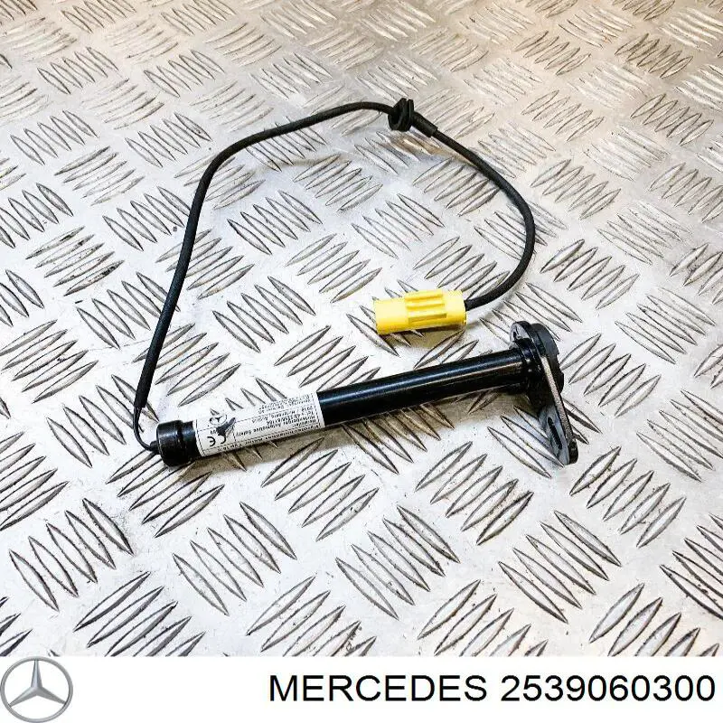 Rejilla central del parachoques delantero 2539060300 Mercedes