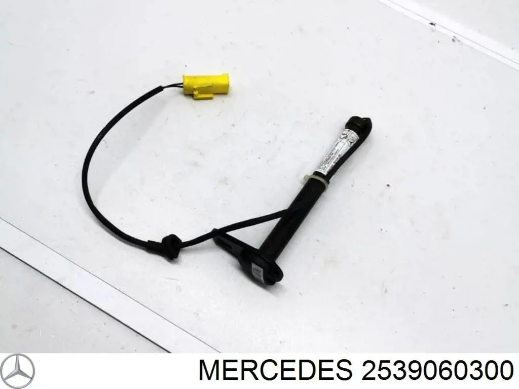 Rejilla del parachoques delantero, central Mercedes 2539060300