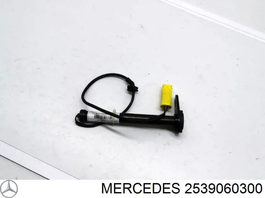 2539060300 Mercedes Rejilla de ventilación, parachoques delantero, central