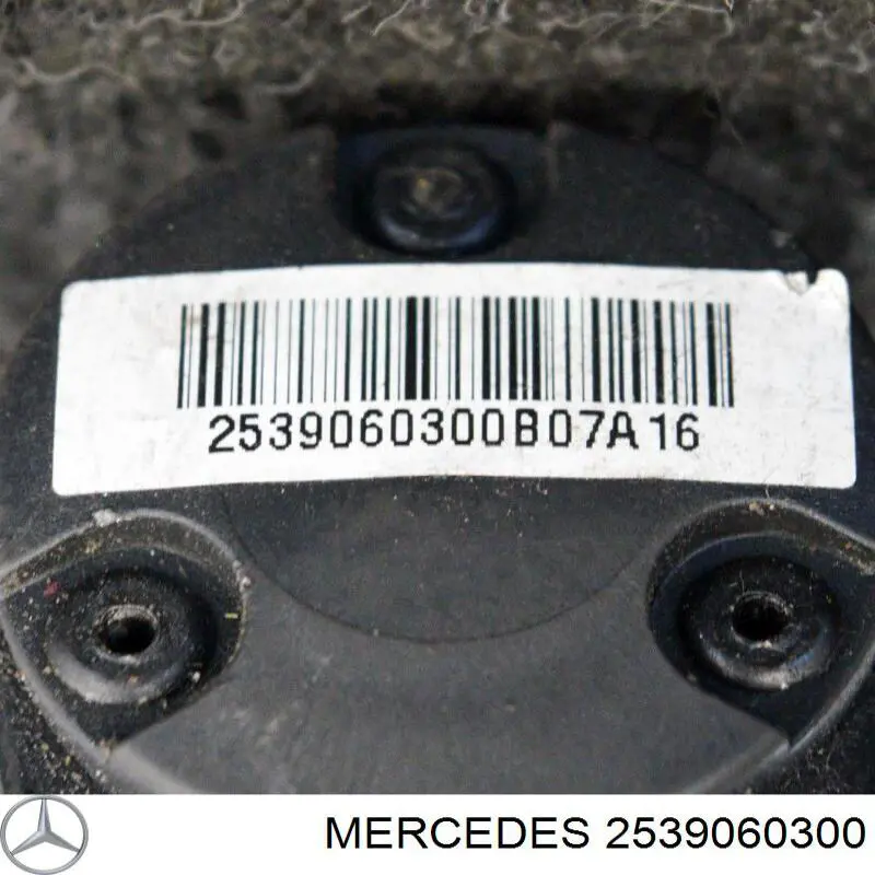 Rejilla de ventilación, paragolpes delantero, central Mercedes 2539060300 precio, desde 69,06 EUR