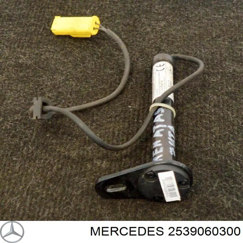 2539060300 Mercedes