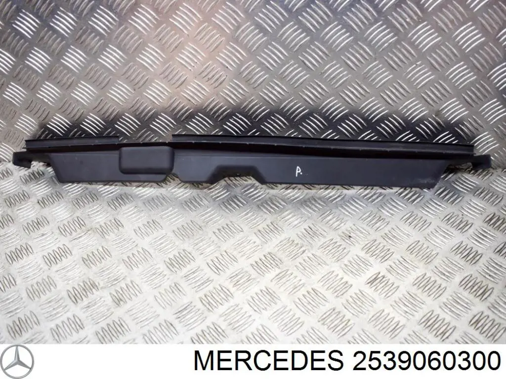 Rejilla central del parachoques delantero 2539060300 Mercedes