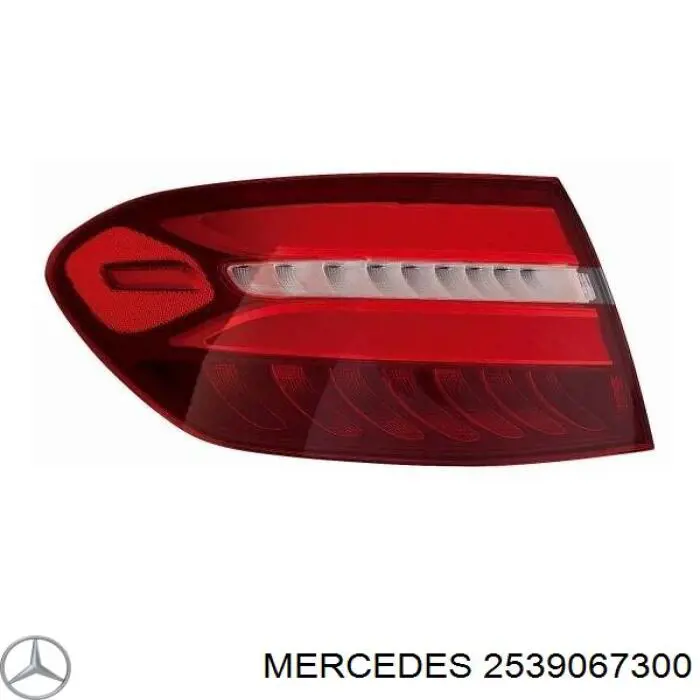 2539067300 Mercedes