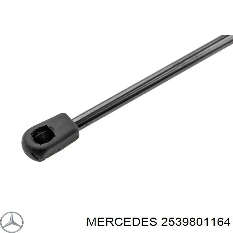 Muelle neumático, capó de motor izquierdo Mercedes GLC (C253)