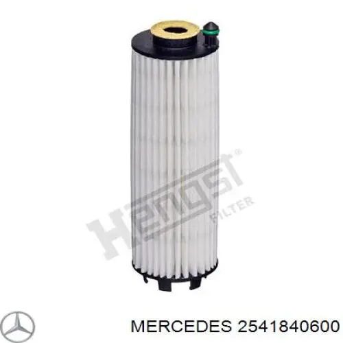 2541840600 Mercedes