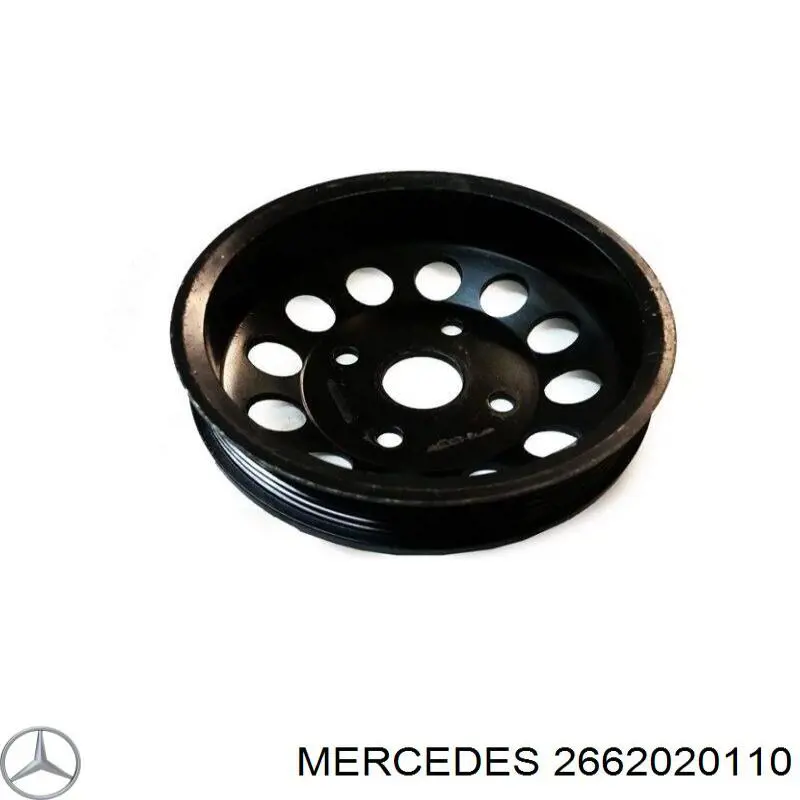 2662020110 Mercedes