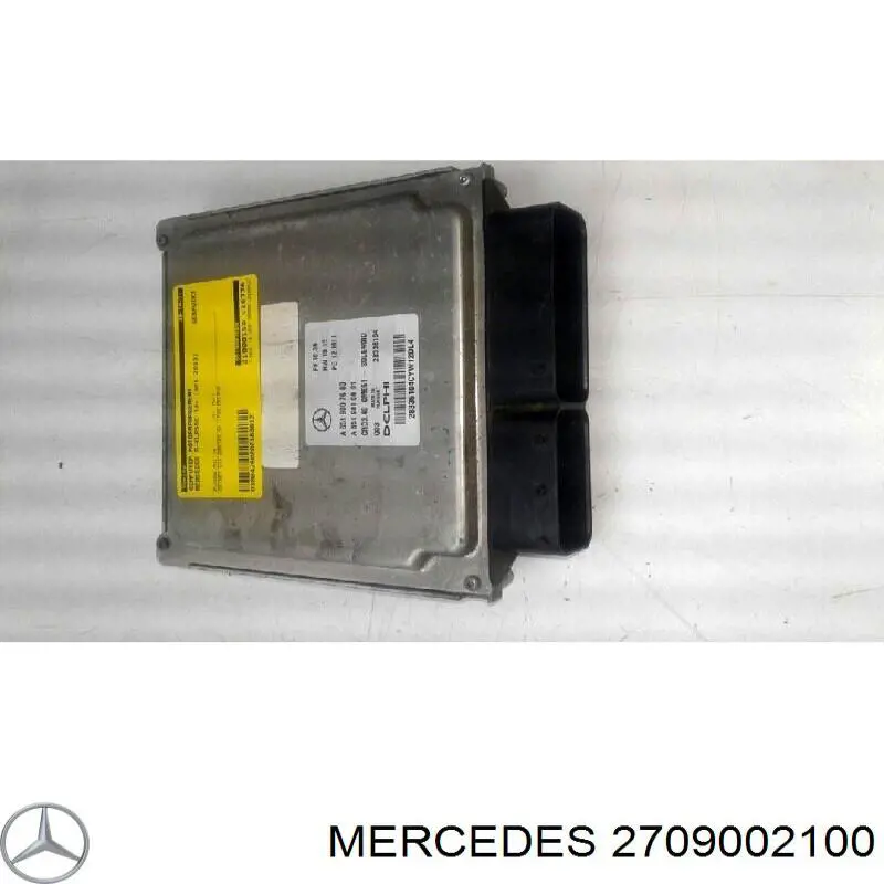 A2709002100 Nissan/Infiniti Centralina Del Motor