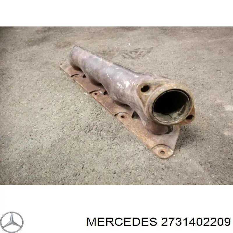 2731402209 Mercedes