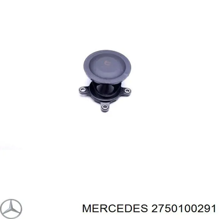 2750100291 Mercedes