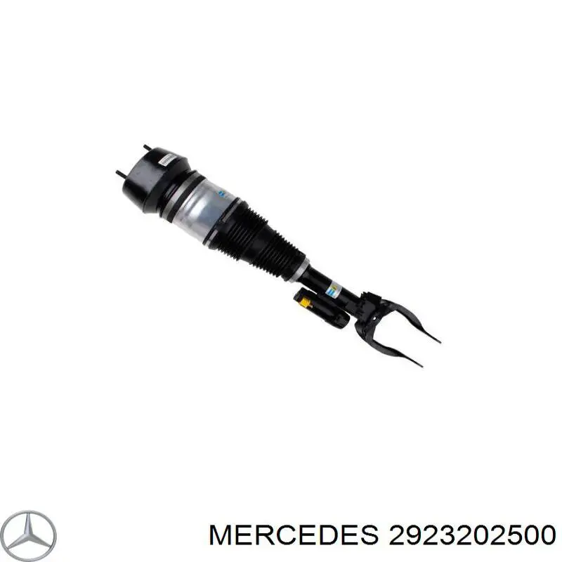 2923202500 Mercedes