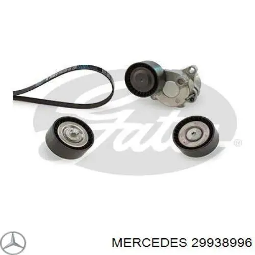 29938996 Mercedes correa trapezoidal