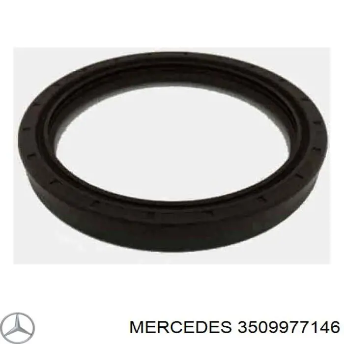 3509977146 Mercedes anillo retén, cubo de rueda delantero