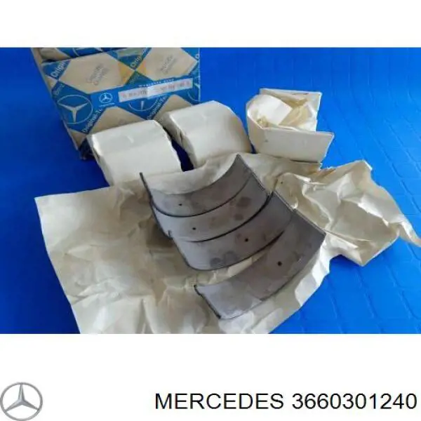 3660301240 Mercedes juego de cojinetes de cigüeñal, cota de reparación +0,25 mm