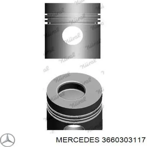 Pistón completo para 1 cilindro, STD Mercedes 3660303117 precio, desde 72,65 EUR