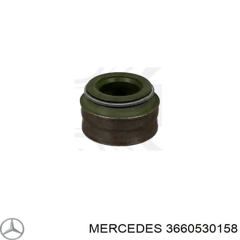 3660530158 Mercedes anillo de junta, vástago de válvula de escape