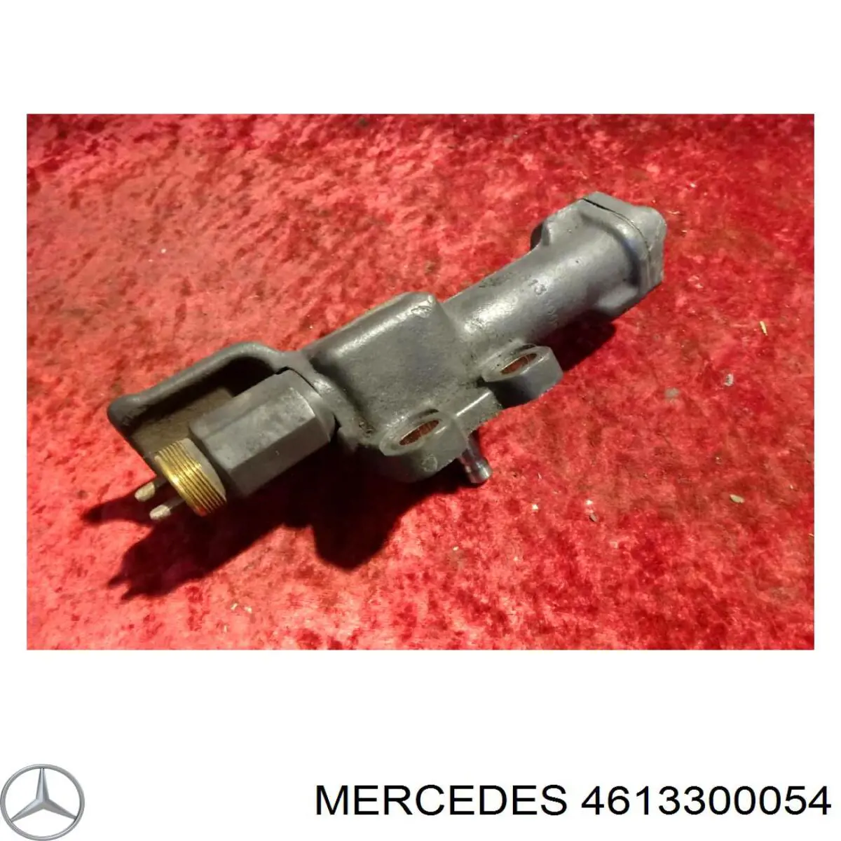 A4613300054 Mercedes