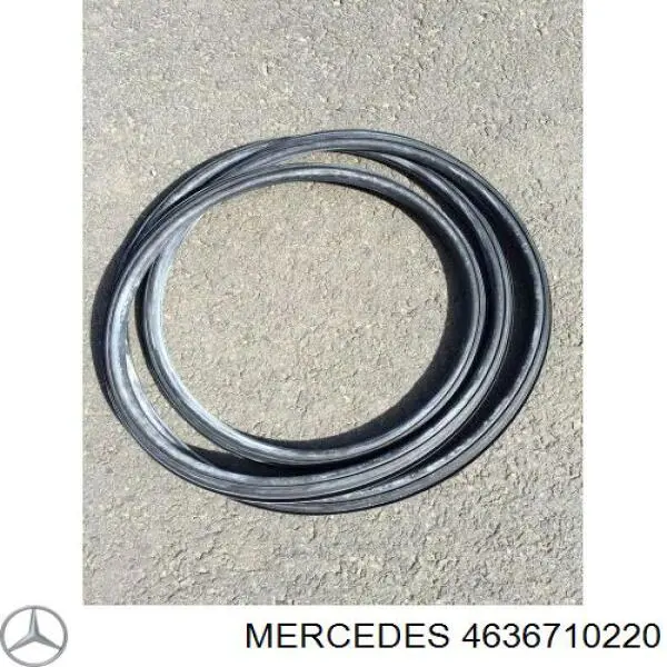 Comprar 4636710220 Mercedes Junta de parabrisas