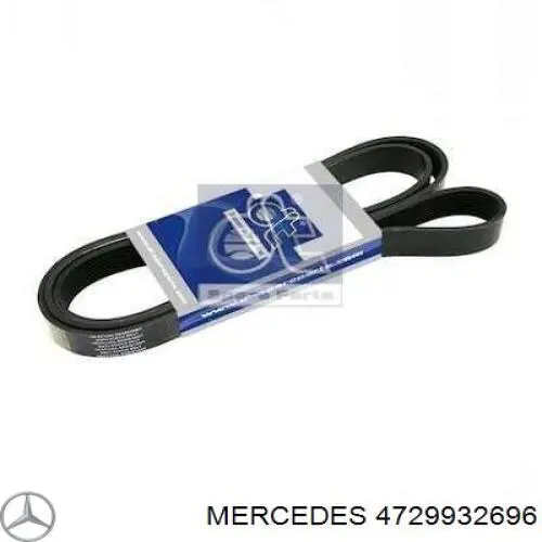 4729932696 Mercedes Correa poly v