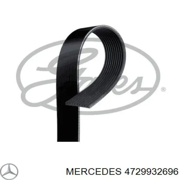 Correa de alternador 4729932696 Mercedes