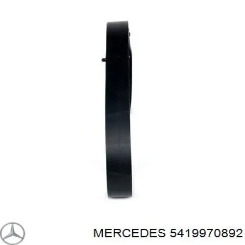 5419970892 Mercedes correa trapezoidal