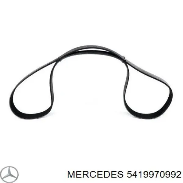 5419970992 Mercedes correa trapezoidal