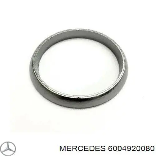 6004920080 Mercedes