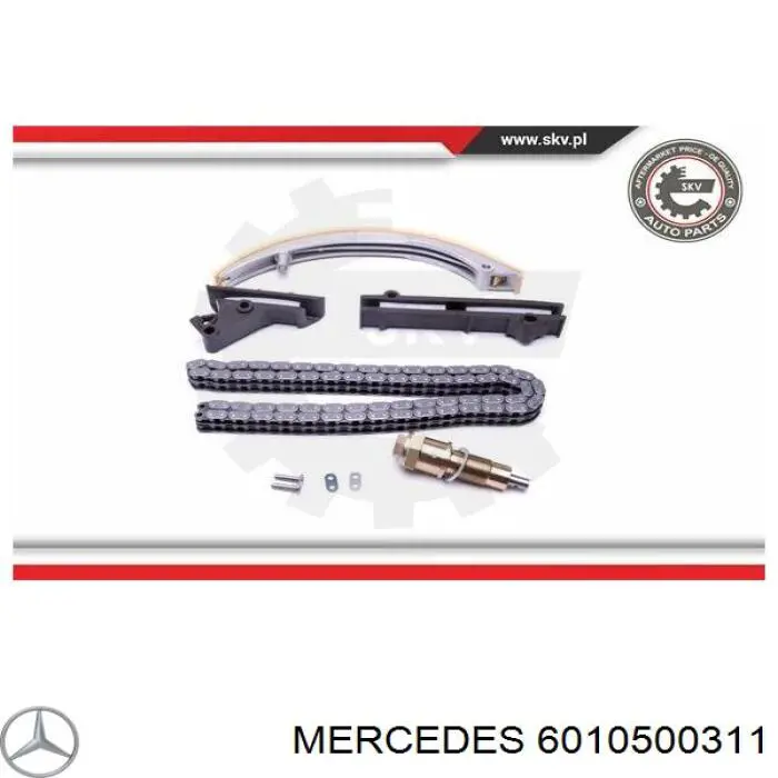 6010500311 Mercedes tensor, cadena de distribución