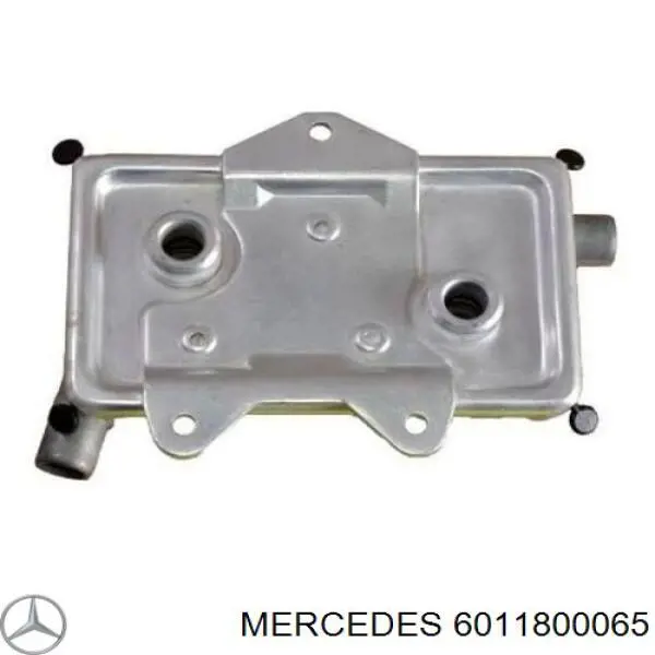 6011800065 Mercedes radiador de aceite