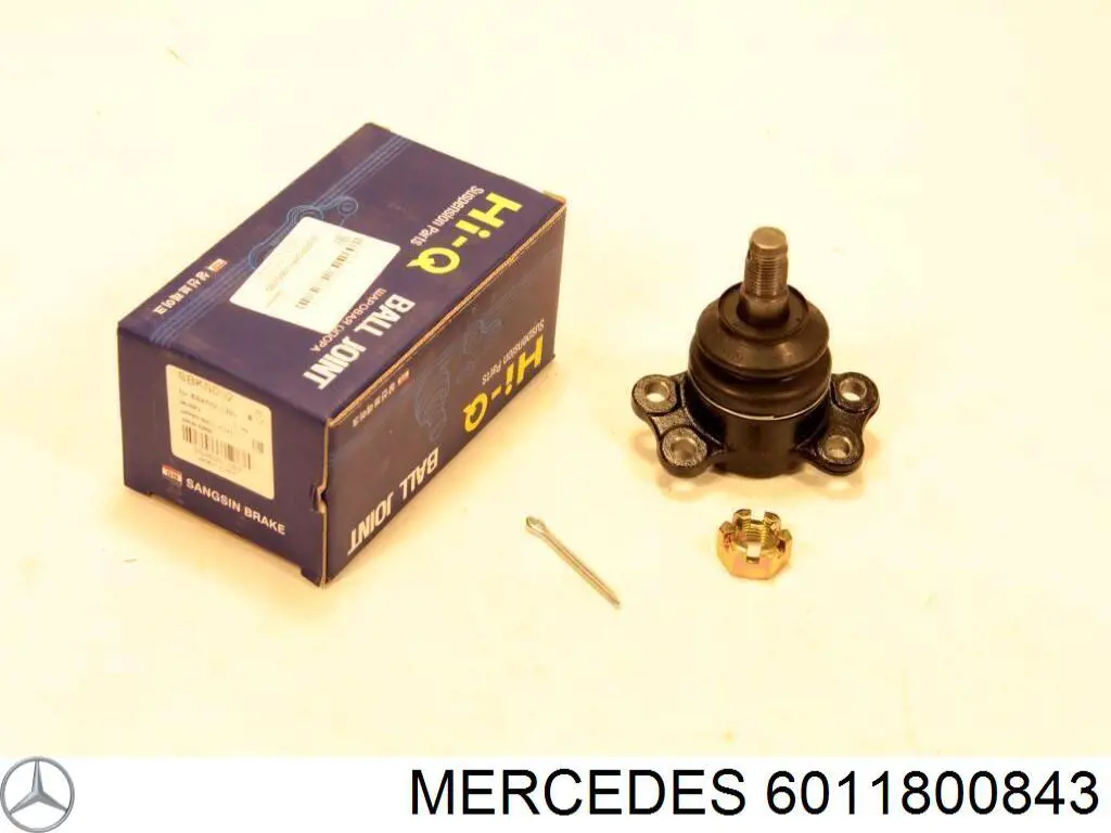 6011800843 Mercedes boquilla de aceite