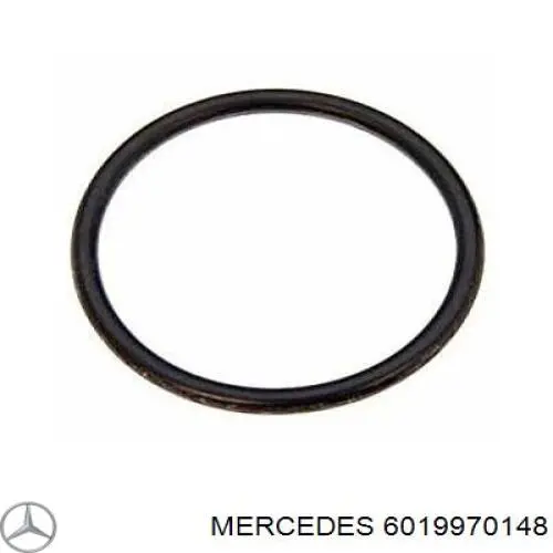 6019970148 Mercedes anillo de sellado de filtro grueso