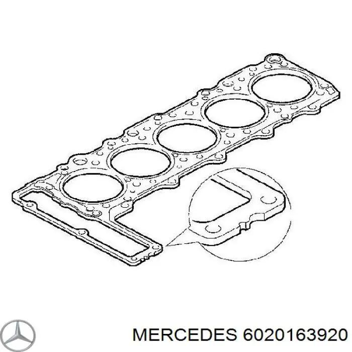 6020163920 Mercedes junta de culata