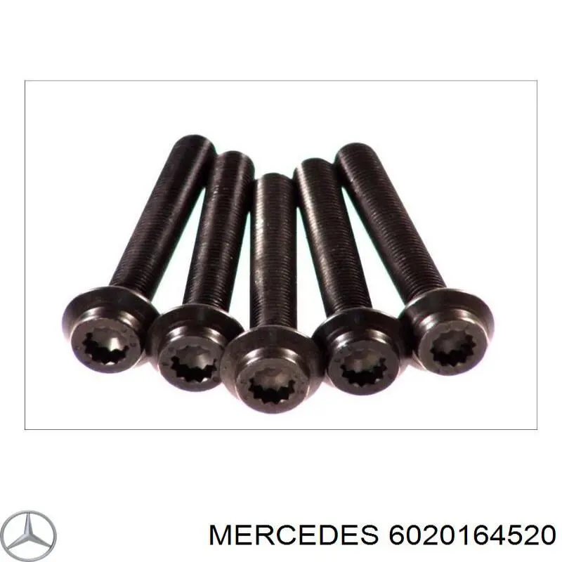 6020164520 Mercedes junta de culata