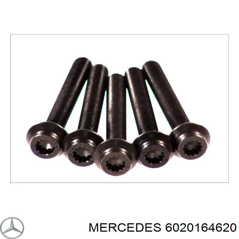 6020164620 Mercedes junta de culata