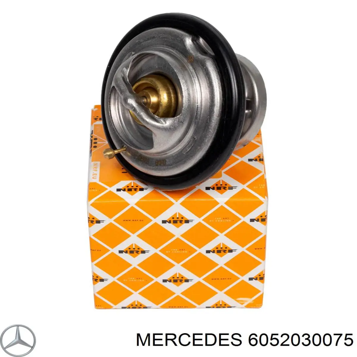 6052030075 Mercedes caja del termostato