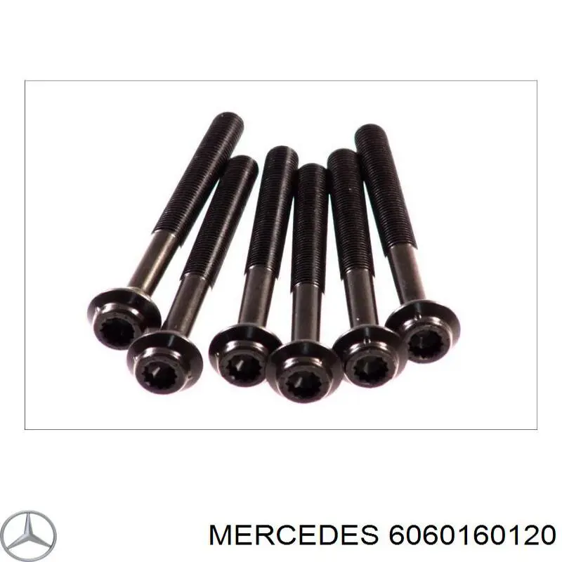 6060160120 Mercedes junta de culata