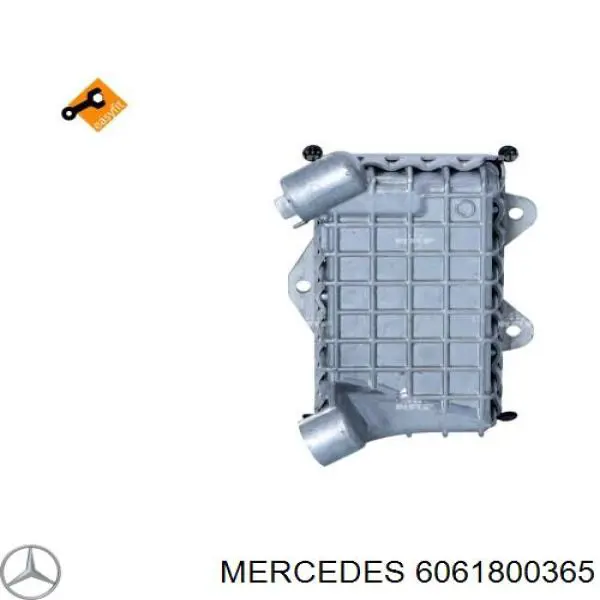 Comprar 6061800365 Mercedes Radiador de aceite debajo del filtro