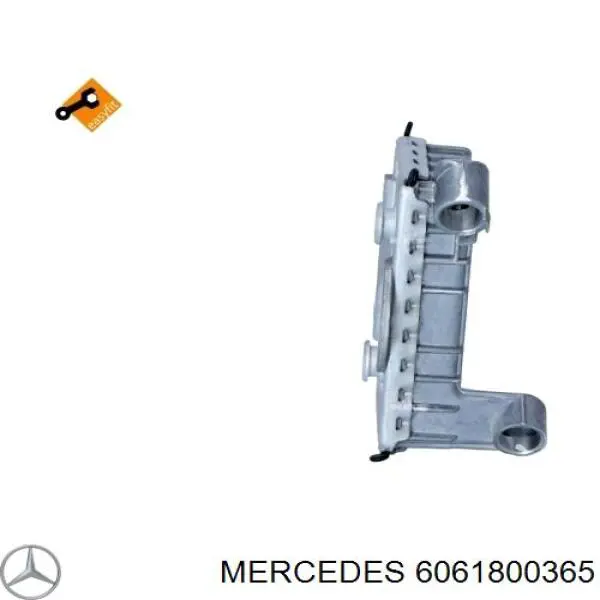 6061800365 Mercedes radiador de aceite, bajo de filtro