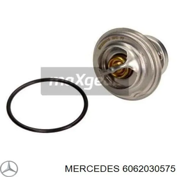 Termostato Mercedes 6062030575 precio, desde 12,63 EUR