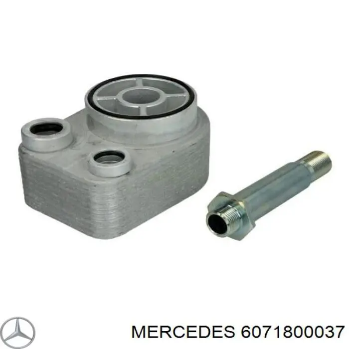 6071800037 Mercedes radiador de aceite, bajo de filtro