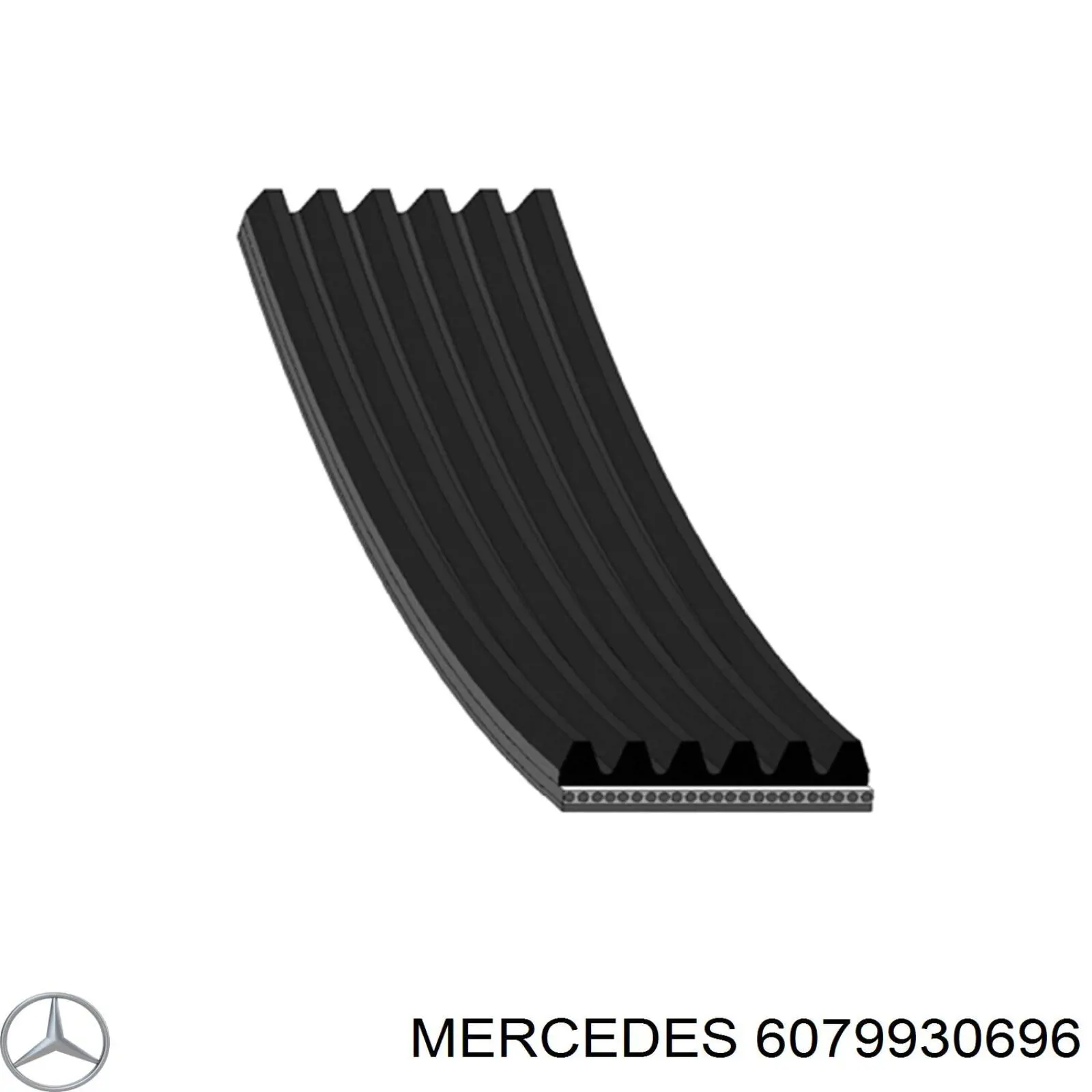 6079930696 Mercedes correa trapezoidal