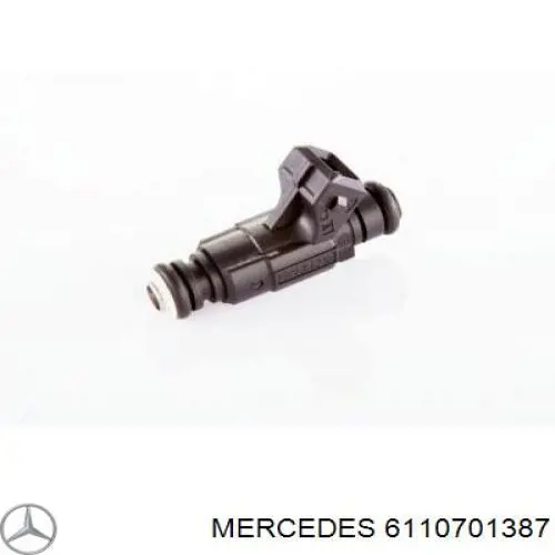 6110701387 Mercedes inyector