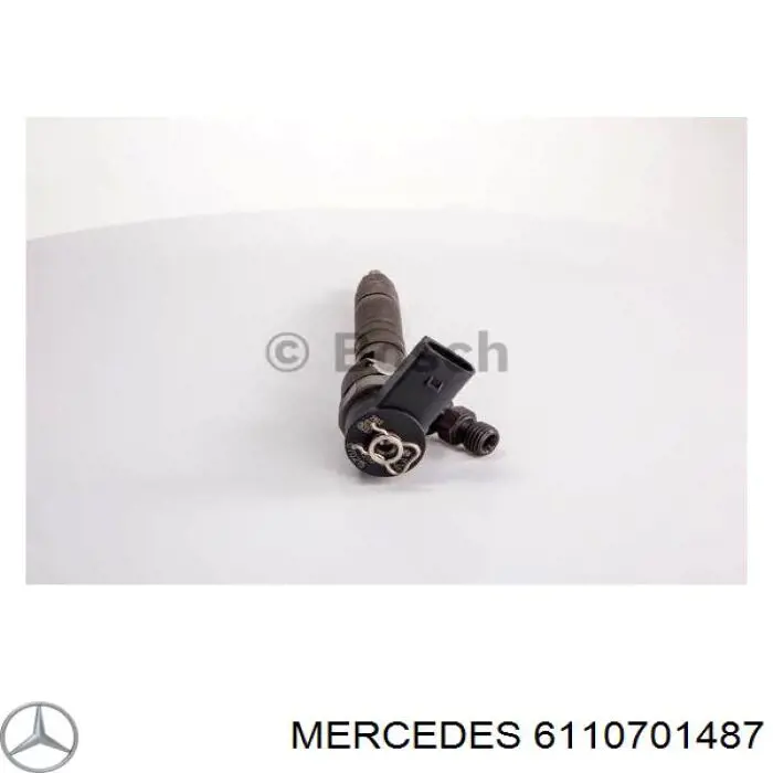 6110701487 Mercedes inyector