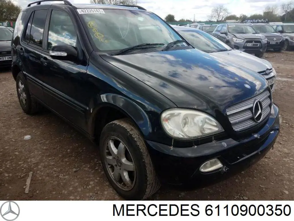 Bomba de combustible mecánica Mercedes 6110900350 precio, desde 74,96 EUR