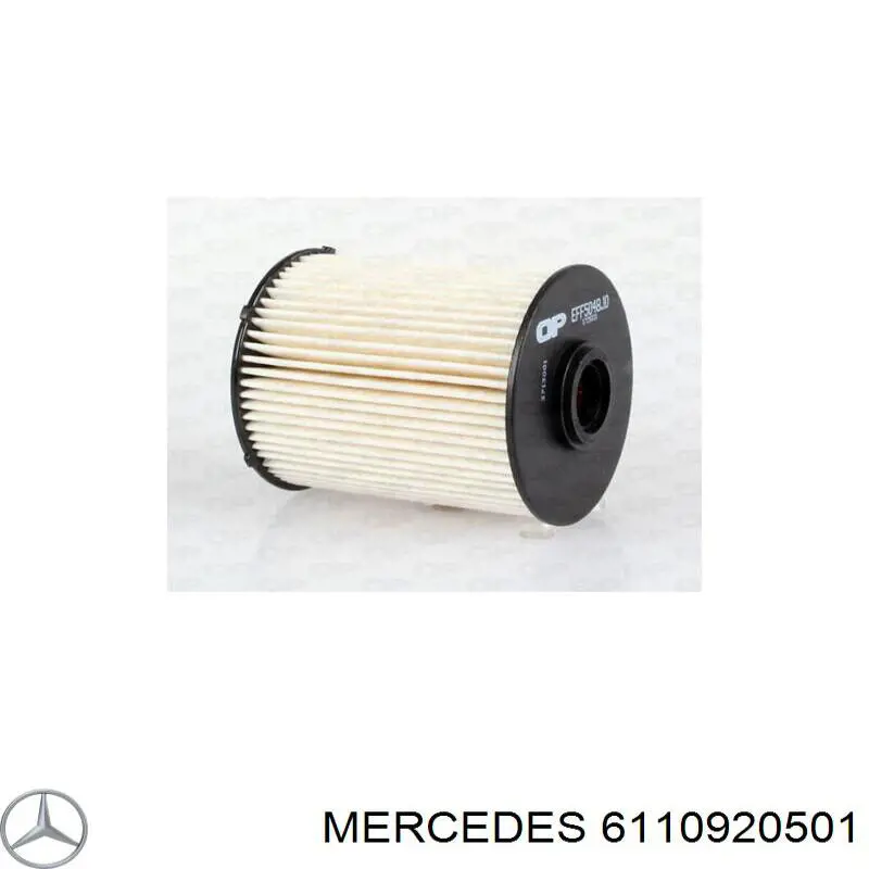 6110920501 Mercedes