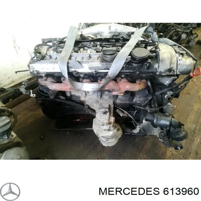 A613010250080 Mercedes Motor completo