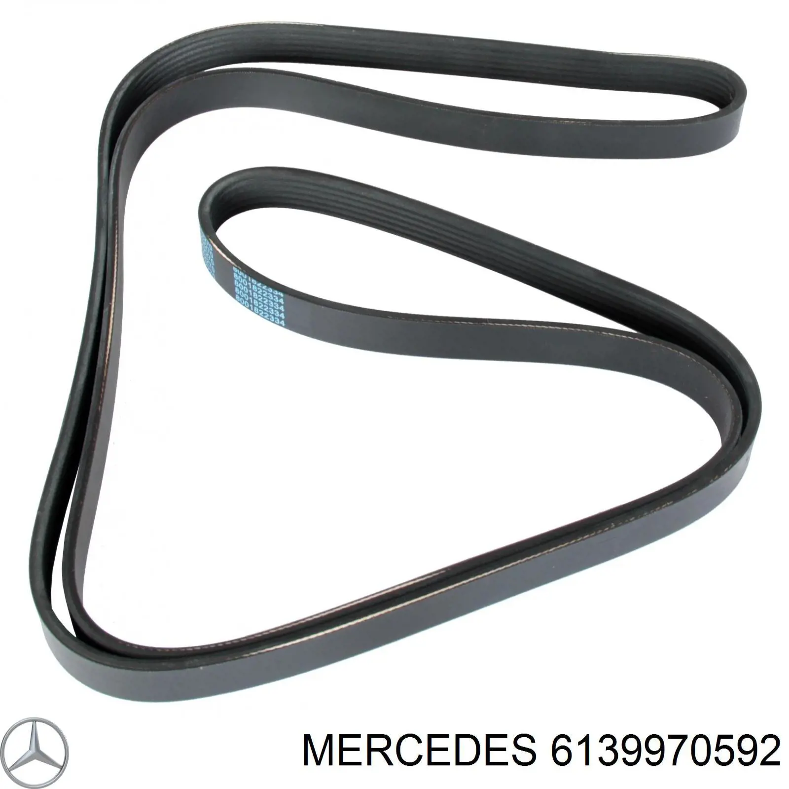 6139970592 Mercedes correa trapezoidal